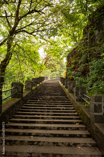 stairway in city park 