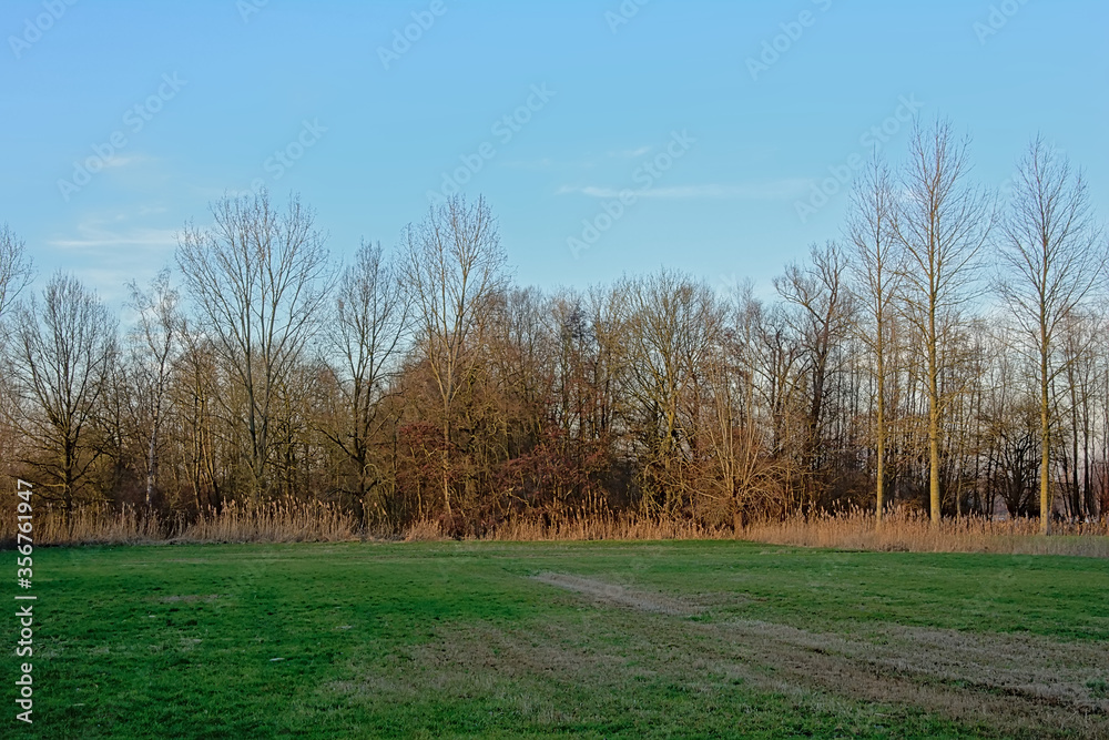 flemish winter landscape in river Scheldt valley