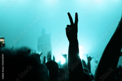 hand of a dancing fan from the crowd at a concert of a popular band. silhouette of a musician on stage in a blue haze. music festival banner
