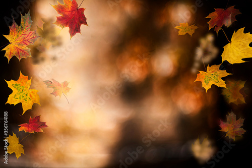 Autumn background. Colorful red fall maple leaves and abstract sun light