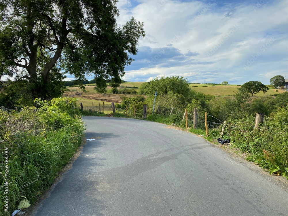 A winding country road, lined with grasses and trees in, Tong, Bradford, UK