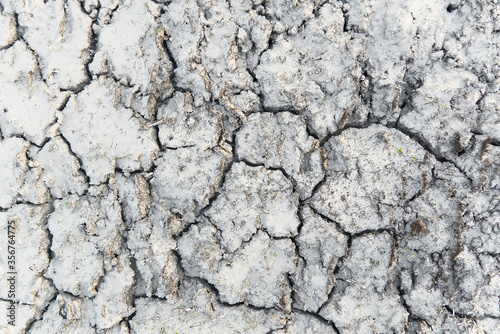 dry cracked earth texture. Dry cracked earth background, cracked earth texture.