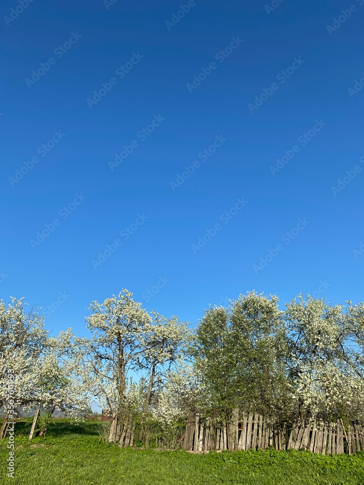 autumn landscape with trees autumn landscape with trees