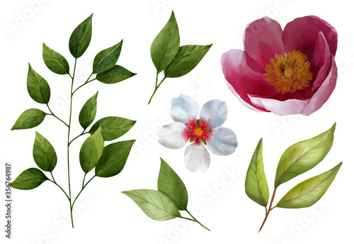 Set of watercolor elements of a collection of flowers of blooming pink peony  cherries  leaves  branches  botanical illustrations isolated on a white background.