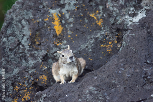 On the Rock