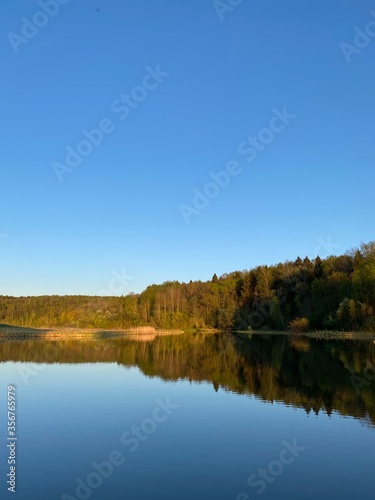 reflection in the water