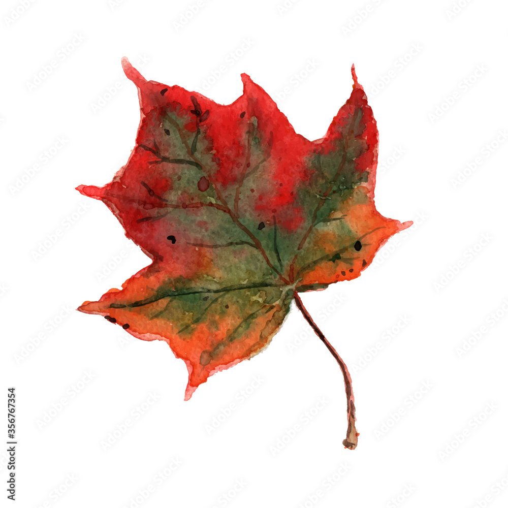 Fototapeta premium Vector watercolor autumn leaf isolated on white background.