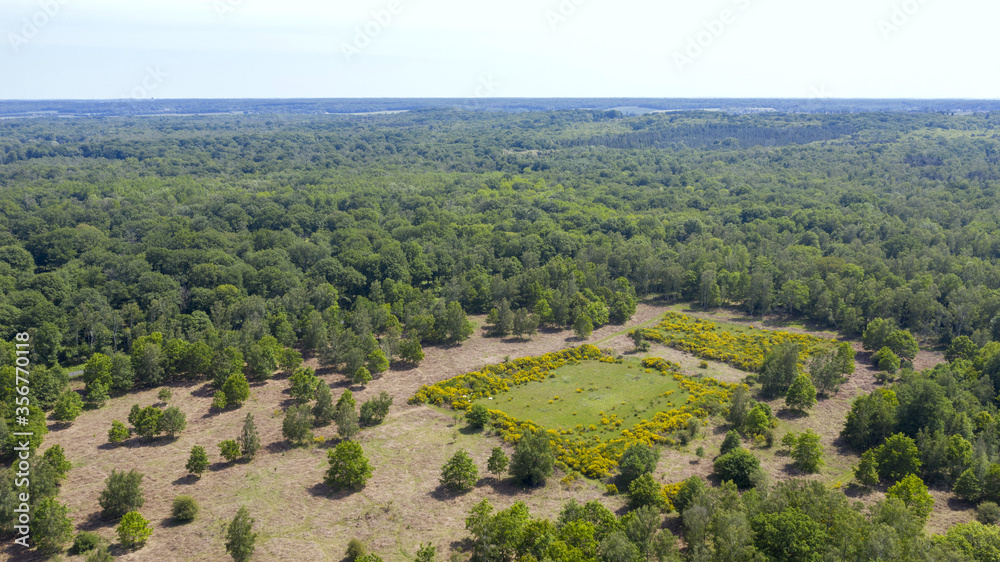 Fototapeta premium forêt de Rambouillet vue du ciel