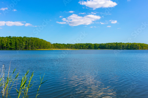 Canvas Print Brandenburg, Barnim, Eiserbuder See, Naturschutz, Ferien in Deutschland, Urlaub