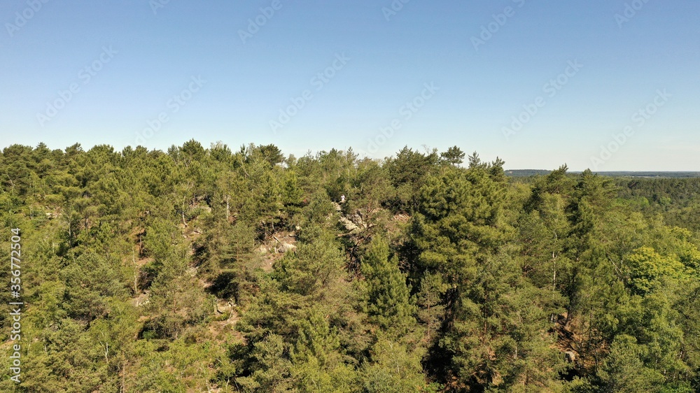 Forêt de Fontainebleau, vue du ciel (île-de-France) Forêt de Fontainebleau, vue du ciel (île-de-France)