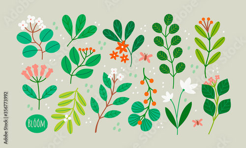 Various Branches with Flowers, Leaves and Berries. Hand drawn Vector Set. Colorful trendy illustration. All elements are isolated. Perfect For your own design