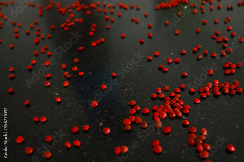 Red sandalwood (Adenanthera pavonina) seeds isolated on a black background. Manchadi, Manjadi, Manjetti, Peacock flower fence, Acacia Coral, Anikundumani, Bandi guruvenda, Barbados pride, Barricarri.