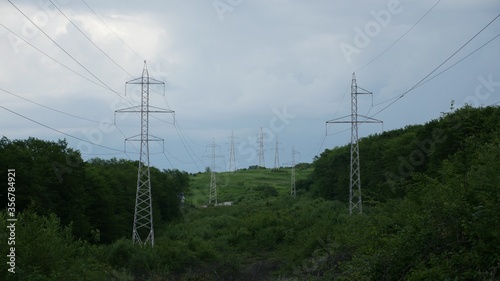 electric power lines with trees