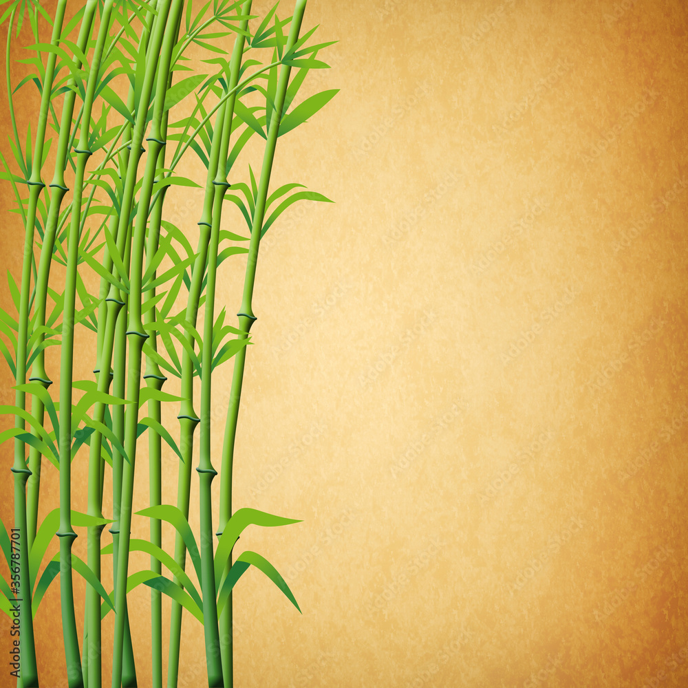Fototapeta Bamboo Branches Background Ready for design.