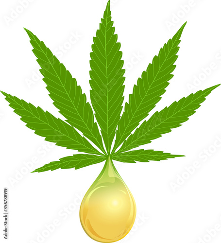 Vector Illustration of a drop of oil distilled from a marijuana leaf on a transparent background. Drop is at bottom of Sativa marijuana leaf.