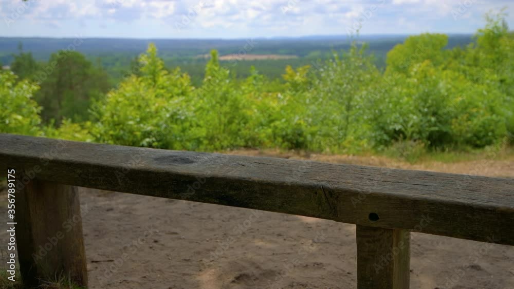 Empty wooden bench in the middle of a forest in front of trees on a bright sunny day Empty wooden bench in the middle of a forest in front of trees on a bright sunny day