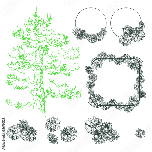 Simple and elegant floral decorative elements made of graphical sketch of pine cones. Botanical design for wedding cards and decorations. Grapical pine cones groups. Wreath. Set of pinecones. Lineart