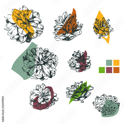 Simple and elegant floral autumn design. Decorative elements made of graphical sketch of grapical pine cones. Botanical design for wedding cards and decorations. Color spots with grapical pine cones.