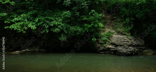 Fototapeta Naklejka Na Ścianę i Meble -  Jungle water swimming background stream