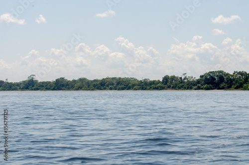 beautiful landscape in the amazon river 