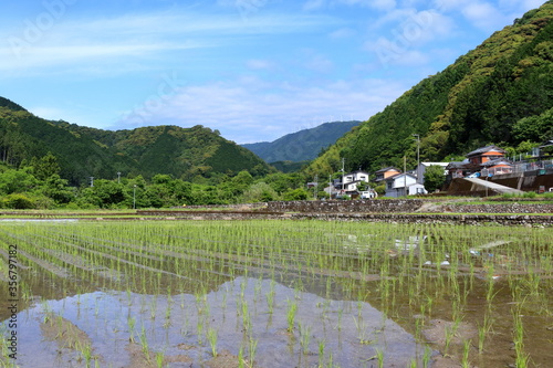 風車の駅から山に連なる風車を眺める（高知県　津野町） photo