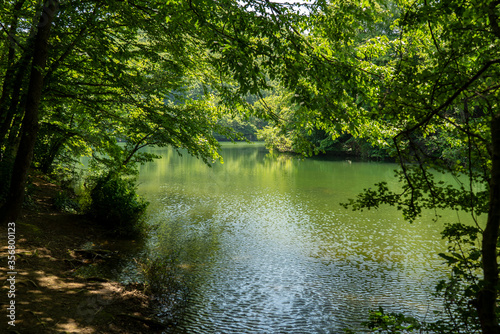 beautiful green lake, saklıgöl lake, istanbul