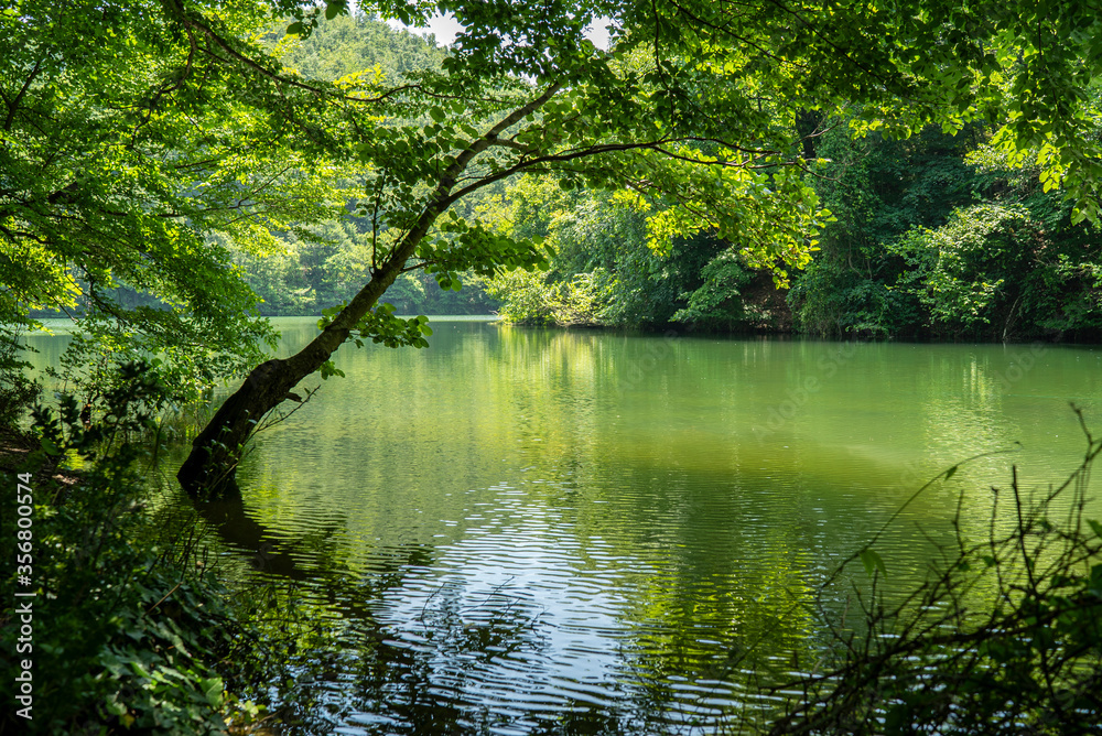beautiful green lake, saklıgöl lake, istanbul beautiful green lake, saklıgöl lake, istanbul