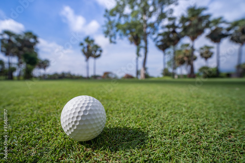 Close-up golf ball on green grass in soft focus at sunlight.
