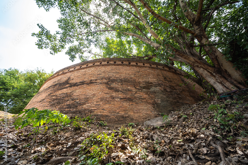 Fototapeta premium Ancient brick wall also known as Fort of Haiya or Thipanaet and big Bodhi trees in Chiang Mai city, Northern Thailand.