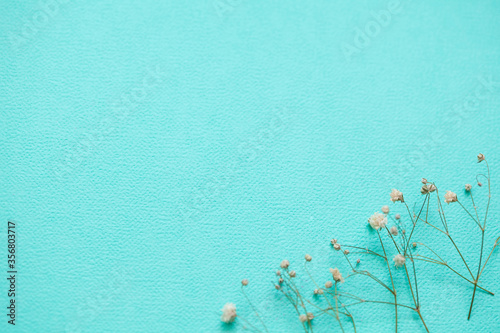 Paper background with flowers