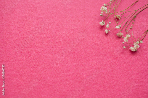 Fusia background with florwers