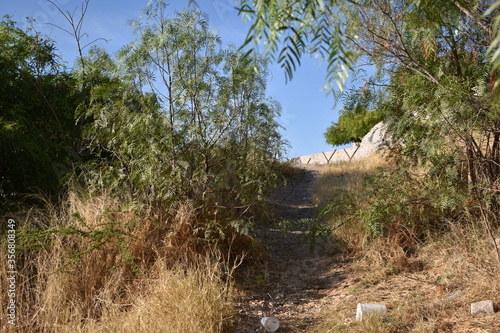 Road I. photo