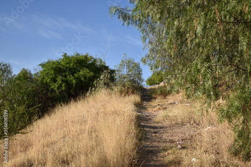 Road II. photo