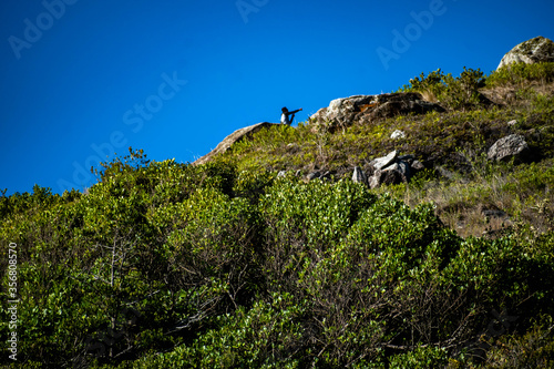 Lagoinha do Leste Florianopolis Santacatarina Brasil photo