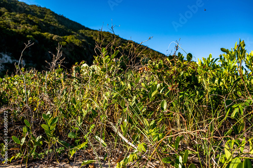 Lagoinha do leste florinipolis Brasil photo