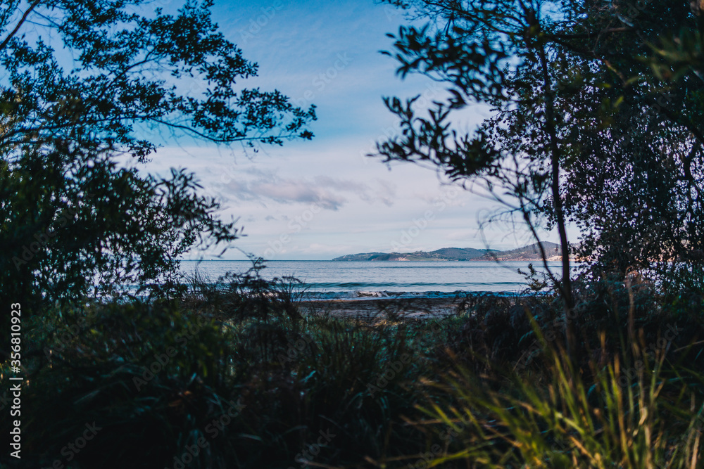 Obraz premium beautiful pristine Tasmanina beach on a winter morning with tree branches framing the scenary