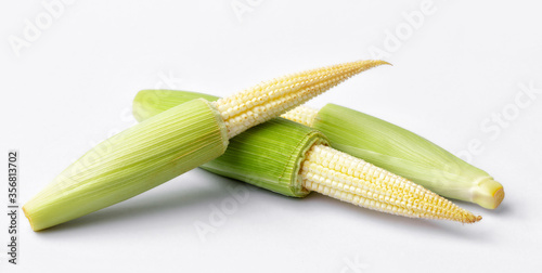 small baby corn on white background