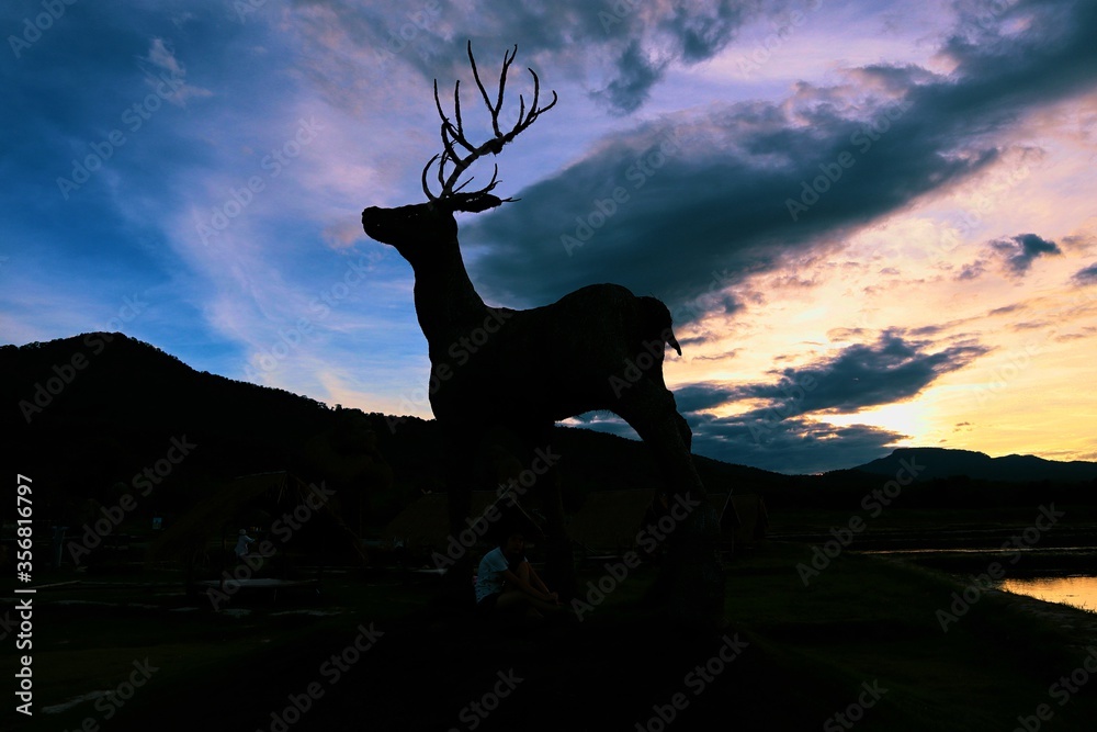 The shadow of a deer. The shadow of deer with a beautiful sky. The shadow of the reindeer has a backdrop of mountains and skies.