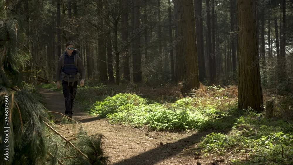 A young backpacker stops to drink water on his sunny woodland hike A young backpacker stops to drink water on his sunny woodland hike