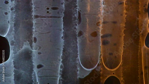 
 running water on a lighted glass