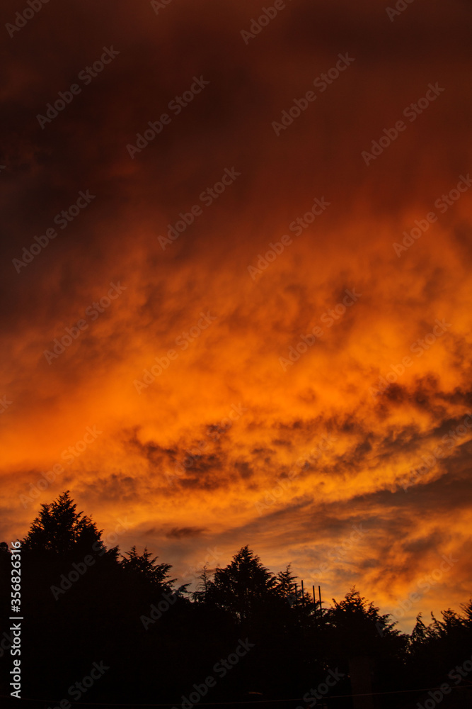 Fototapeta premium foto del cielo arriba de mi casa