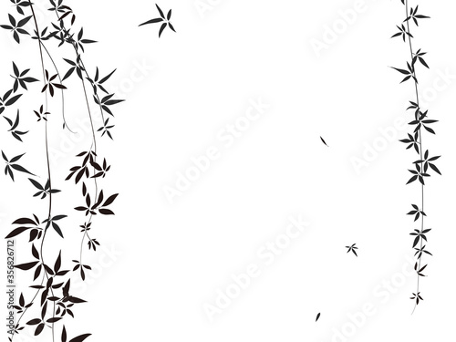 Vector data of vine with leaves isolated with transparent background 