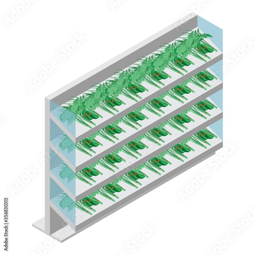 racks with vegetables