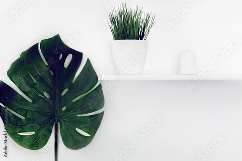 Vibrant Green Mostera deliciosa and yellow palm tropical leaf isolated on White Background wall. Room for text. Tropical summer concept. photo