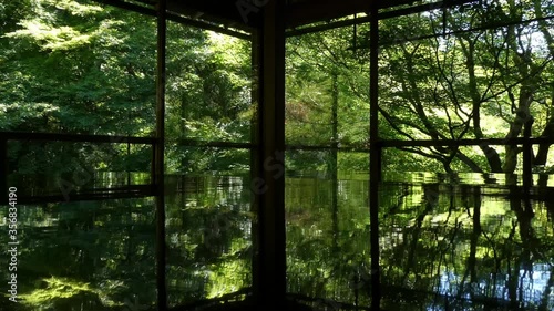 京都 瑠璃光院の新緑と初夏の景色