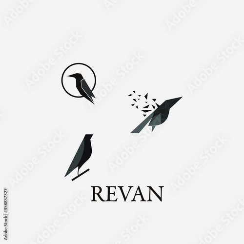 logo raven vector icon templet.