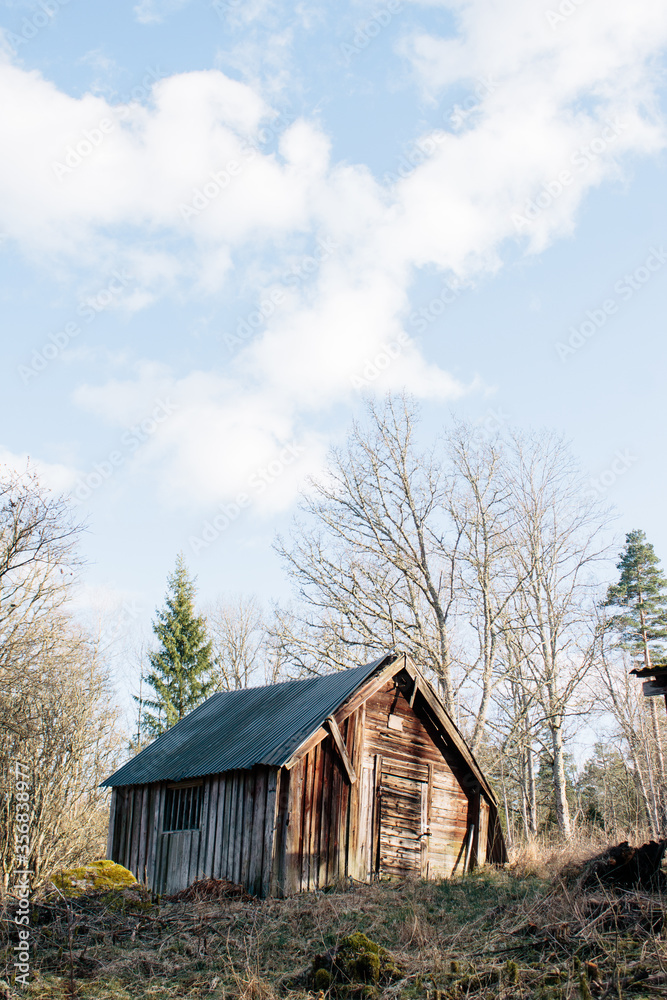 Old wooden barn in the Swedish countryside, rural scene in Sweden