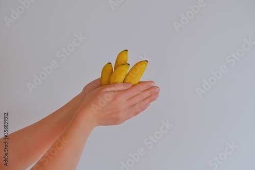 Mini bananas in hand on a white background. Small yellow bananas. Warf bananas.Healthy yellow fruit.