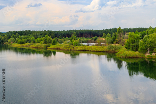 Fototapeta Naklejka Na Ścianę i Meble -  View of a beautiful lake in a pine forest at summer