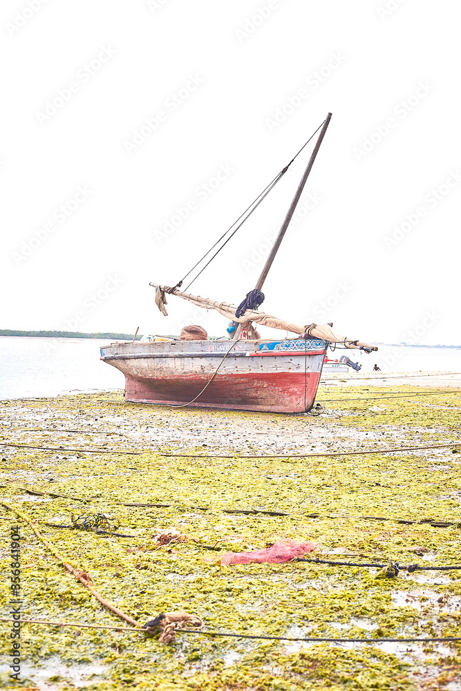 Obraz premium Lamu, Kenya, Africa